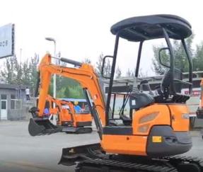 Rhinoceros XN20